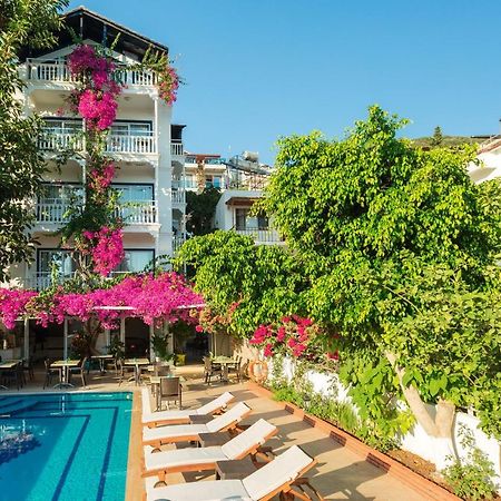 קס Hotel Koza מראה חיצוני תמונה
