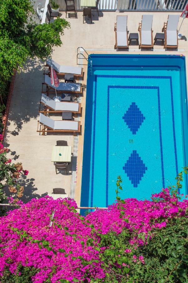 קס Hotel Koza מראה חיצוני תמונה